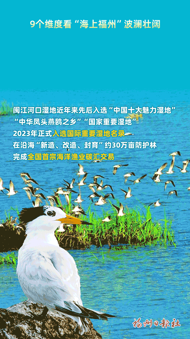 动起来了！9个维度看“海上福州”波澜壮阔！