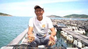 SE China's Fujian develops green industries