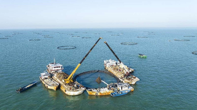 China's marine economy continues to expand with diverse highlights
