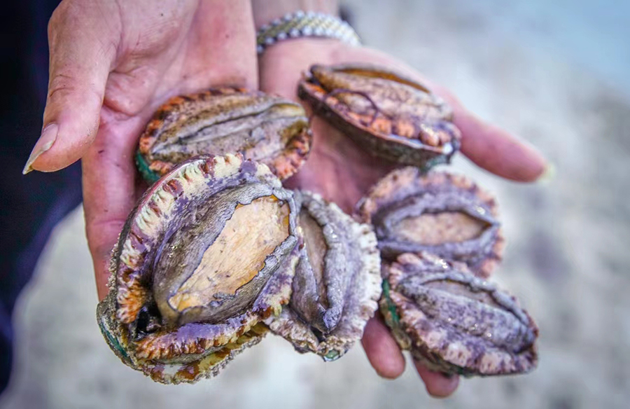 Mariculture thrives in Fuzhou, SE China's Fujian
