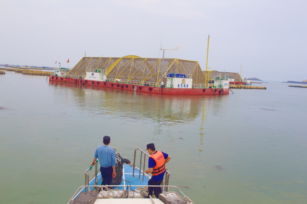 Deep-sea farms an eco-friendly way to expand food sources