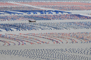 Booming seafood industry mirrors China's "blue granary" development
