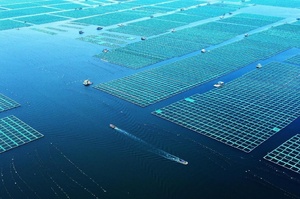 China vigorously builds marine ranches