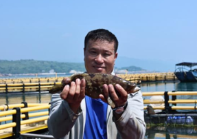 Lianjiang Has a Bumper Harvest of Grouper, Large Yellow Croaker and Green Fin Horse-Faced Bream