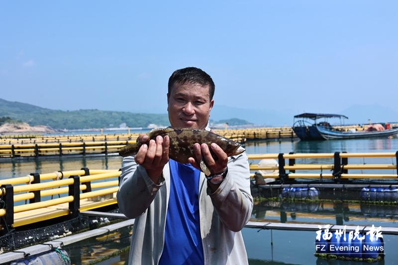Lianjiang Has a Bumper Harvest of Grouper, Large Yellow Croaker and Green Fin Horse-Faced Bream