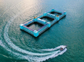 Intelligent semi-submersible aquaculture platform self-sufficient in green energy
