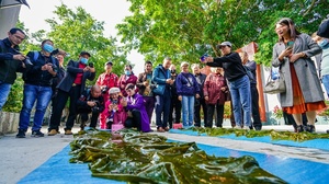 Lianjiang county in SE China's Fujian makes progress in enhancing marine product diversity, quality