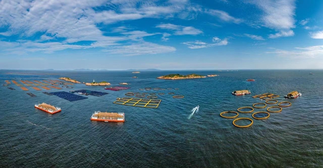 Lianjiang county in SE China's Fujian makes progress in enhancing marine product diversity, quality