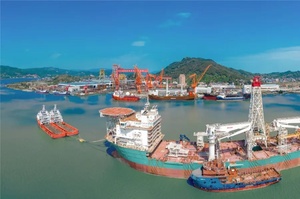 Chinese vice premier stresses developing advanced manufacturing
