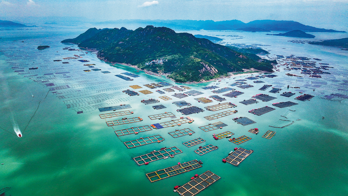 Fujian coast awash in aquaculture