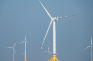 China's offshore wind power facilitates harmonious human-nature coexistence, contributes wisdom to world's carbon reduction goals