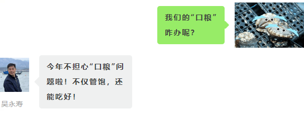 鲍鱼吃什么长大？海上福建为你揭秘