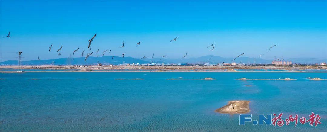 《习近平经济思想研究》刊发郭宁宁署名文章：坚定不移向海进军——“海上福州”建设经验启示