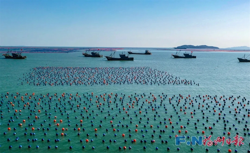 连续30年领跑全国!福州渔业续写传奇! 连续30年领跑全国!福州渔业续写传奇!