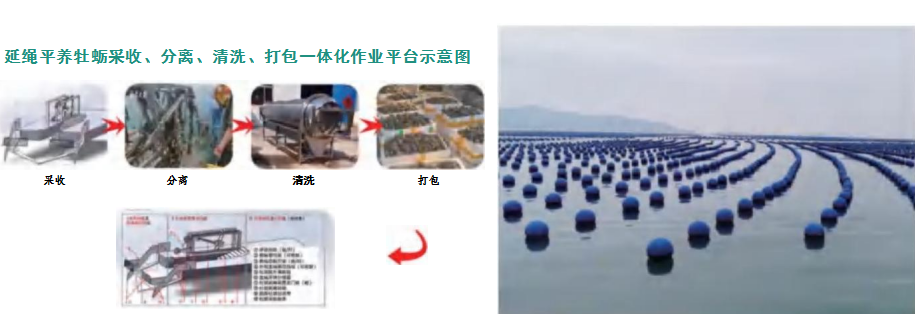 海洋科创“五链融合”推进活动成果 |系列① 海洋智能装备 海洋科创“五链融合”推进活动成果 |系列① 海洋智能装备