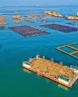 逐梦深蓝筑高地！福建加快建设现代海洋产业体系！