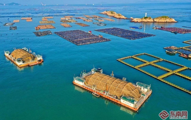 逐梦深蓝筑高地！福建加快建设现代海洋产业体系！