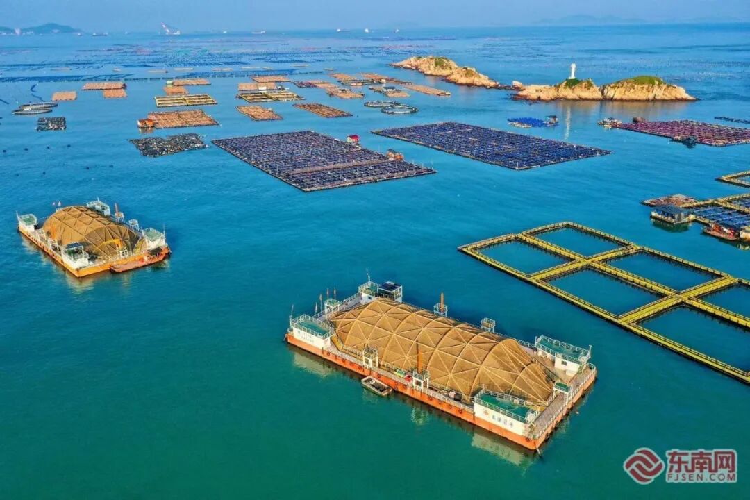 逐梦深蓝筑高地!福建加快建设现代海洋产业体系! 逐梦深蓝筑高地!福建加快建设现代海洋产业体系!