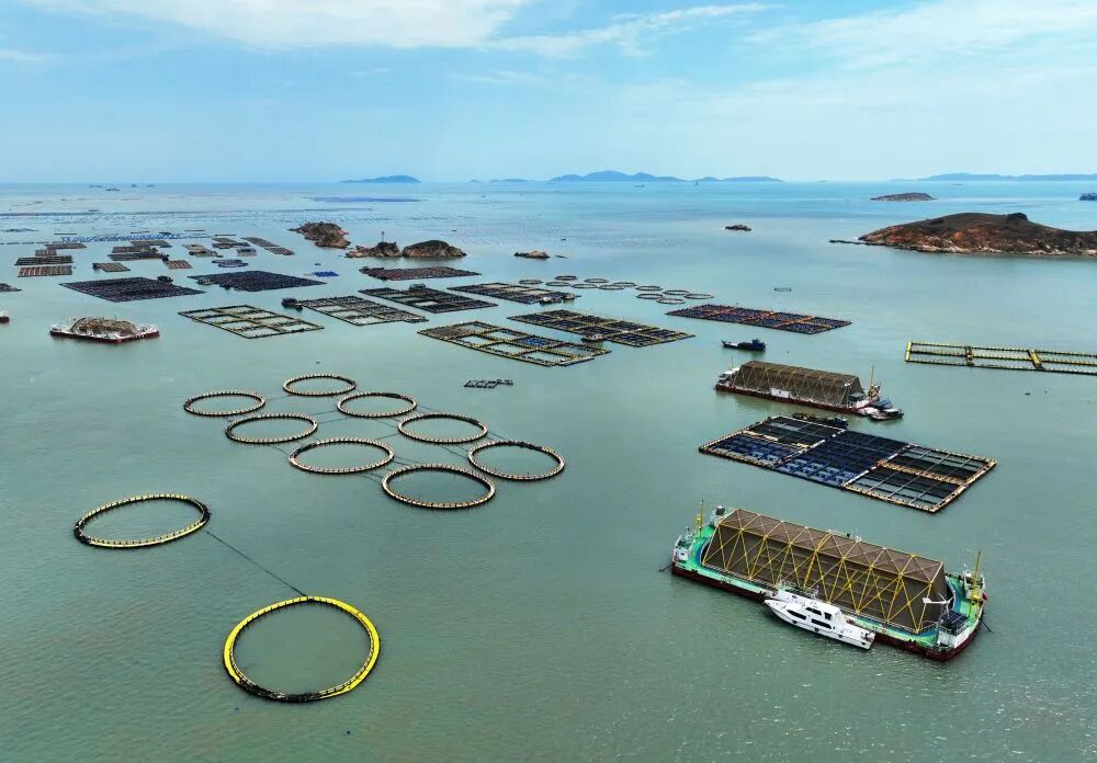 世界海洋日|新华社关注:以高质量发展走好中国特色向海图强之路! 世界海洋日|新华社关注:以高质量发展走好中国特色向海图强之路!
