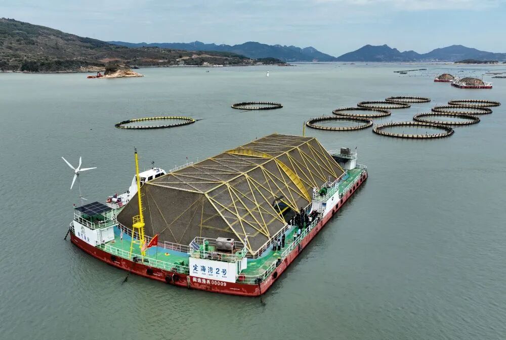 世界海洋日|新华社关注:以高质量发展走好中国特色向海图强之路! 世界海洋日|新华社关注:以高质量发展走好中国特色向海图强之路!