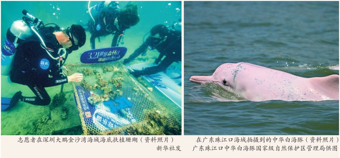 瞭望·治国理政纪事丨全面建设海洋强省 瞭望·治国理政纪事丨全面建设海洋强省
