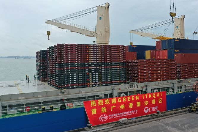 全球最大的多用途纸浆船“GREEN ITAQUI”首航顺利靠泊南沙港区