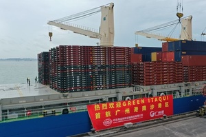 全球最大的多用途纸浆船“GREEN ITAQUI”首航顺利靠泊南沙港区