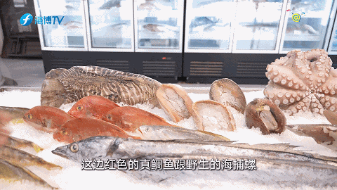 福州：向“海”进军 照进现实