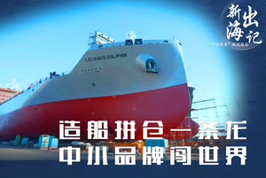 “中国制造”新出海记｜造船拼仓一条龙 中小品牌闯世界