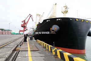 “中国造”全球最大专业纸浆船靠泊厦门